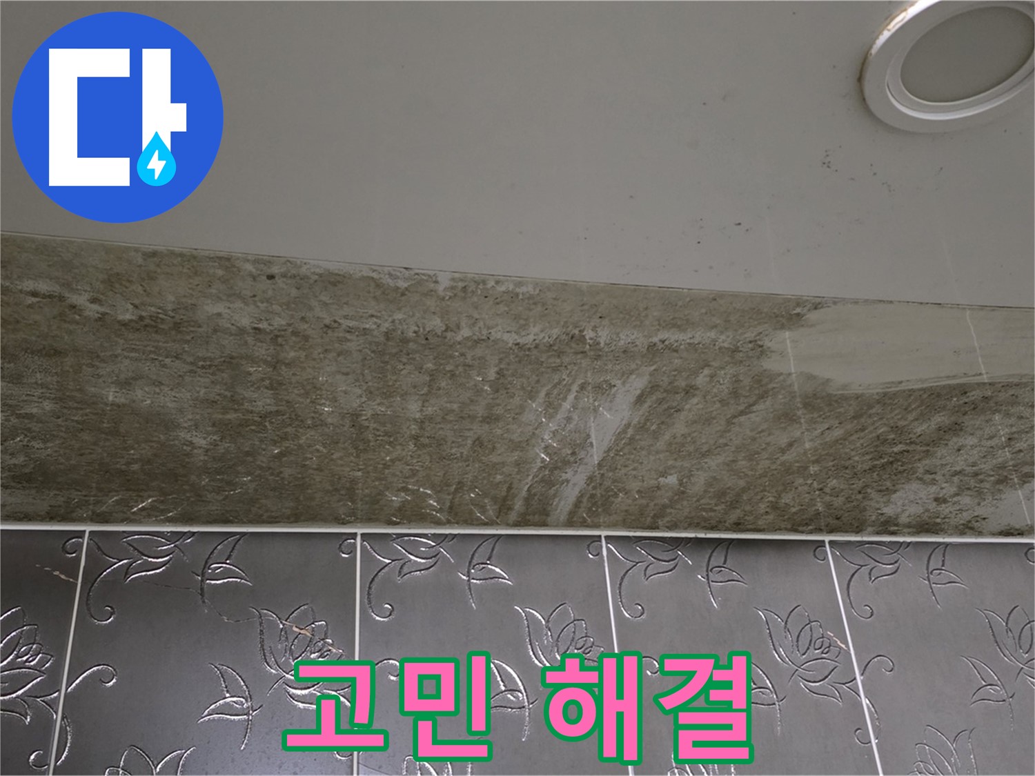곰팡이 핀 화장실 - 누수 고민 해결, 쾌적한 욕실로