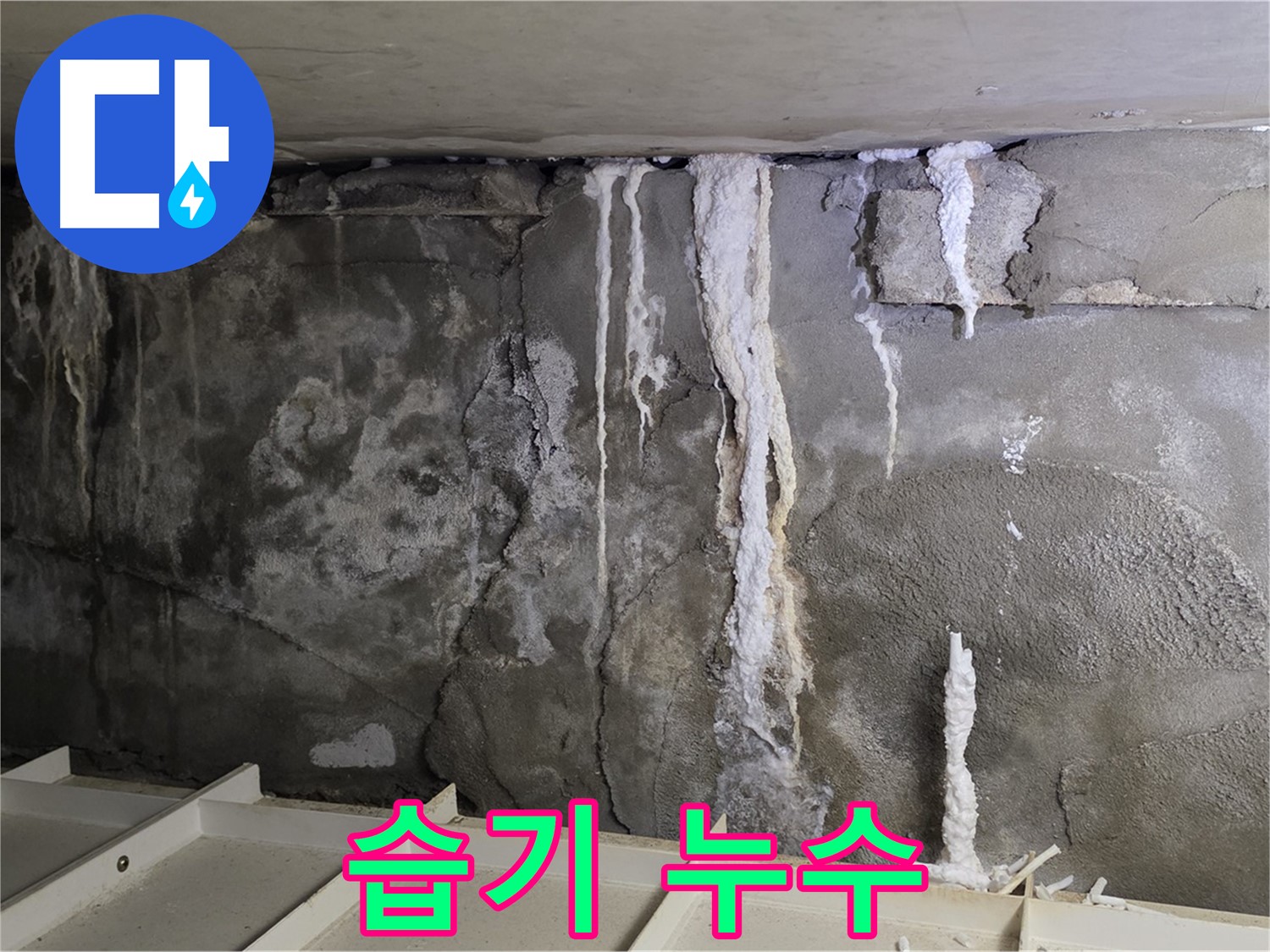 벽에 습기가 차는 누수 - 곰팡이 발생 위험, 빠른 점검 필요