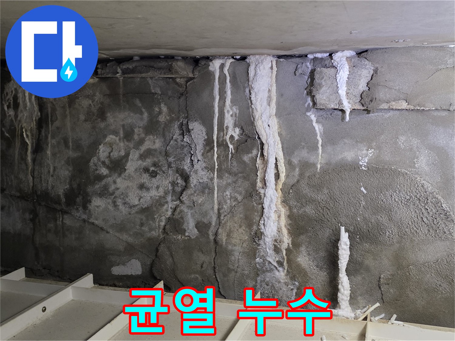 벽체 균열을 통한 누수 - 정밀 진단과 보수 공사 필요