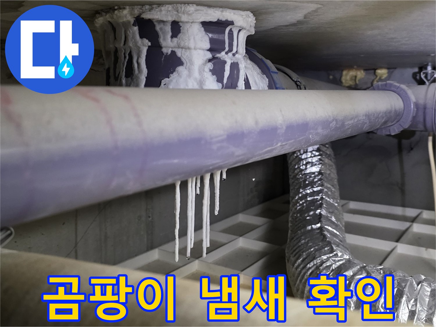 배관 주변 석회 가루 - 곰팡이 냄새 확인