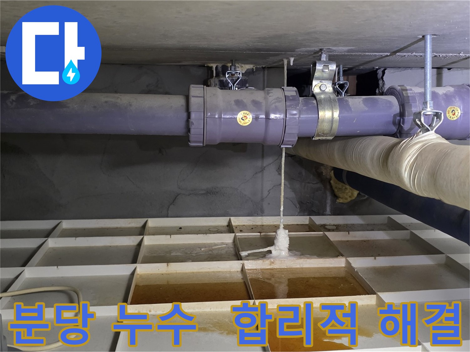 분당 배관 누수 - 낡은 배관 연결 부위, 합리적인 가격으로 완벽 해결