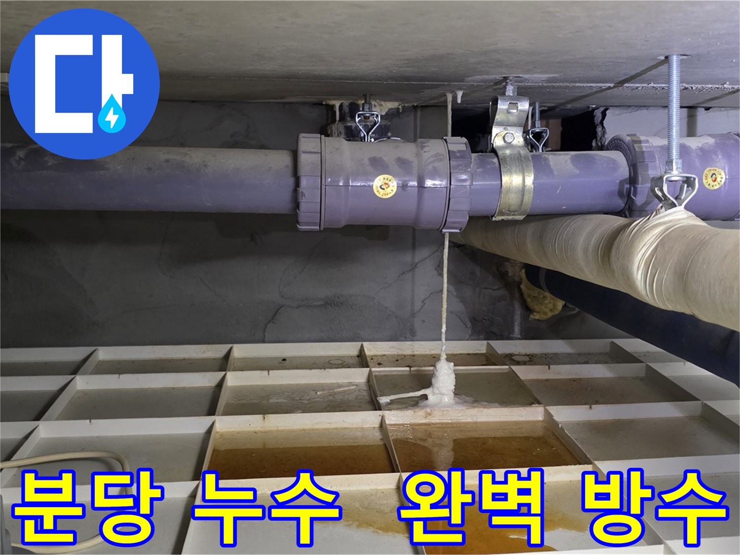분당 산운마을 낡은 배관 누수 - 연결 부속 부식, 꼼꼼한 녹 제거 후 완벽 방수