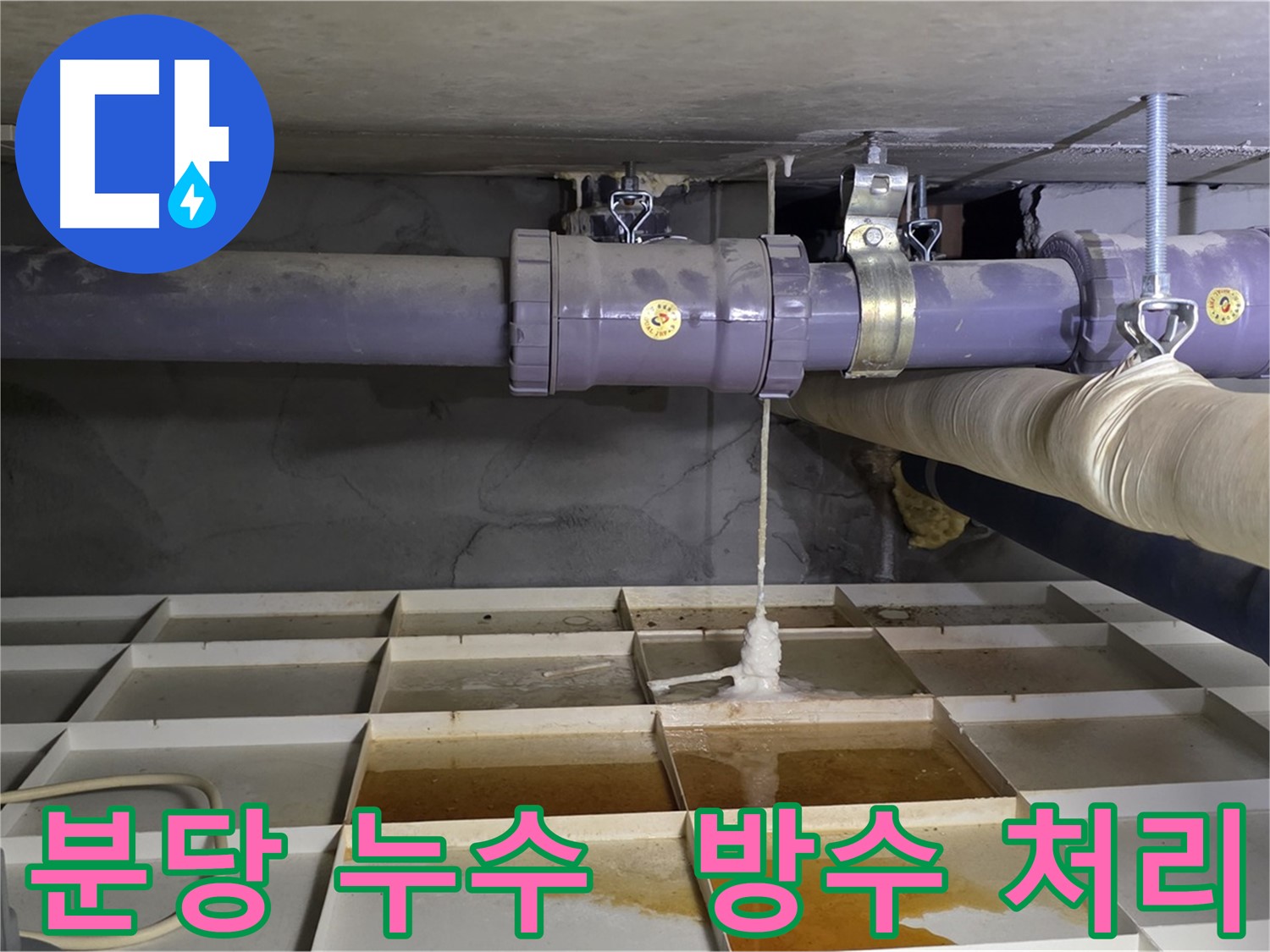 분당 산운마을 낡은 배관 누수 - 연결 부위 부식, 꼼꼼한 방수 처리