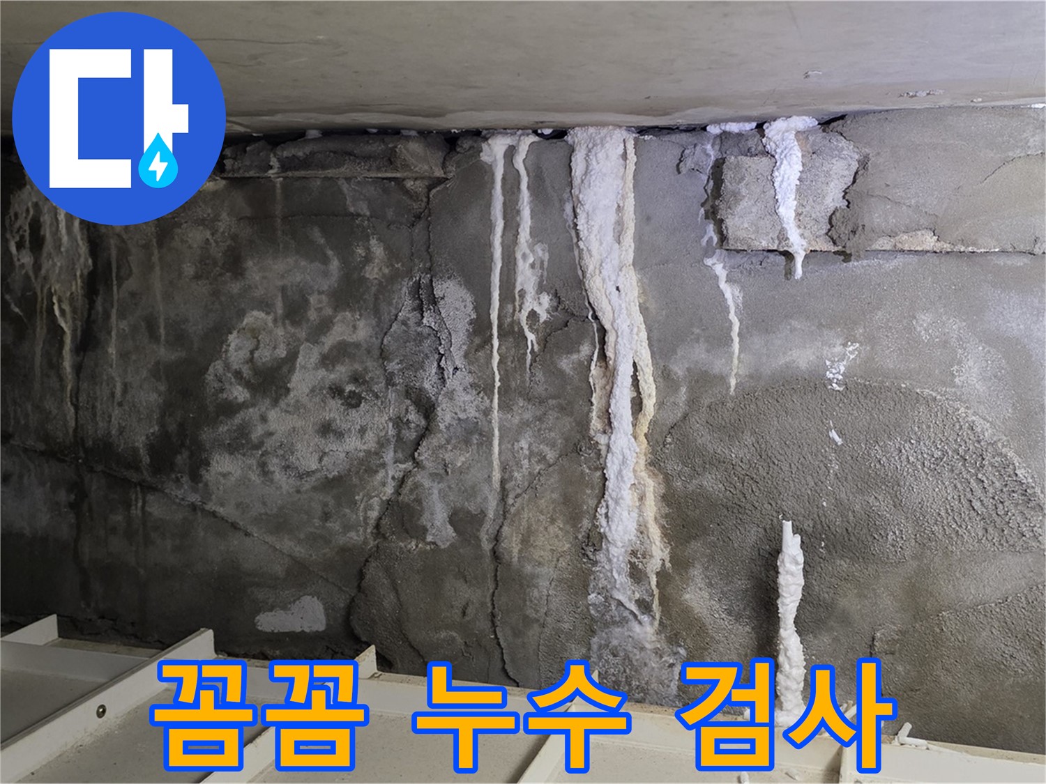분당 운중동 건물 누수 - 꼼꼼한 검사, 곰팡이 위험 진단!