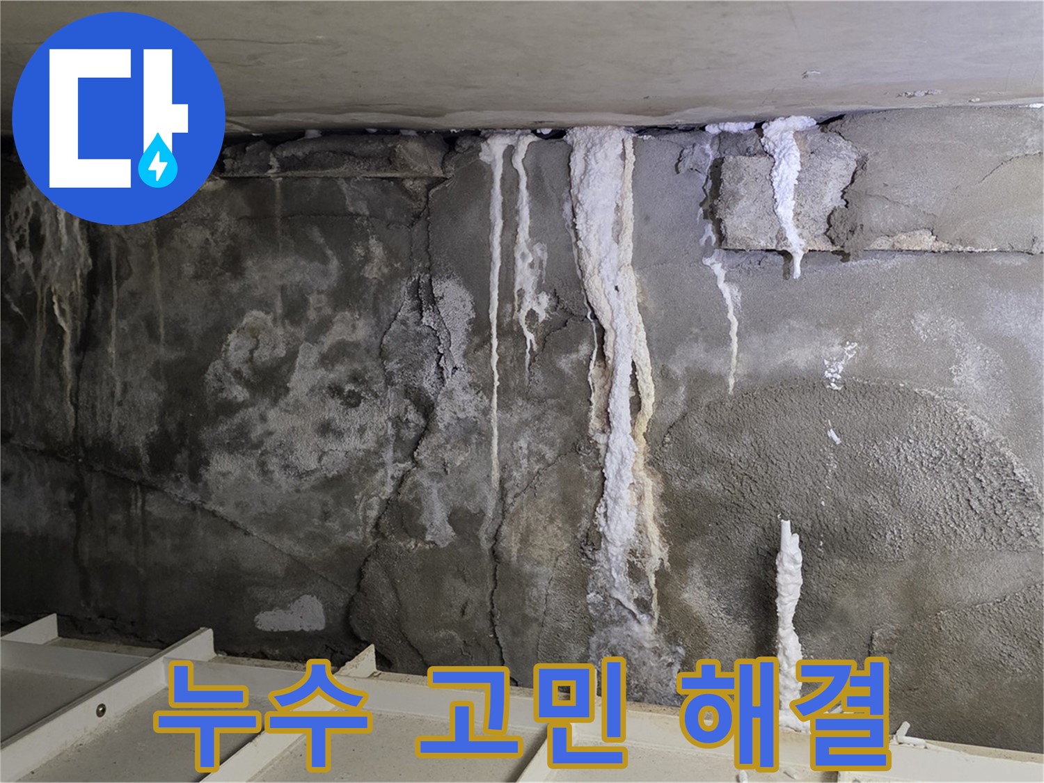 분당 운중동 건물 누수 - 누수 고민, 이제 그만!