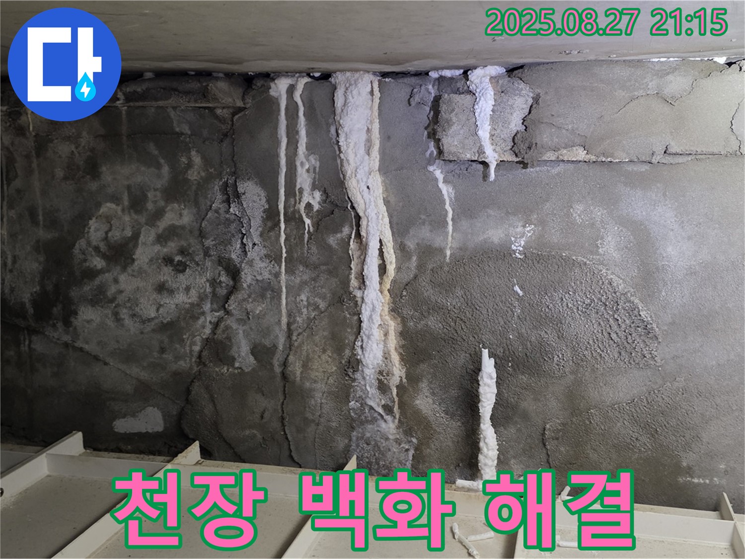 분당 운중동 산운로 주차장 천장 - 백화현상을 완벽하게 해결하고 깔끔하게 마무리된 시공 현장을 보여주는 사진입니다.