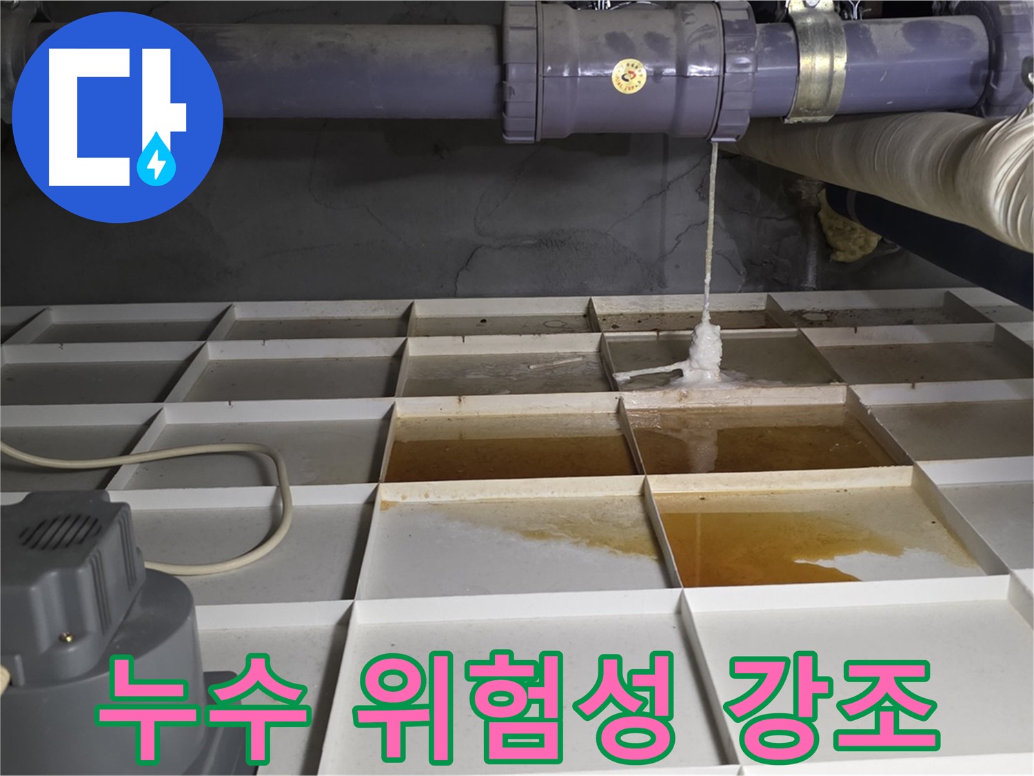 분당 운중동 산운마을 6단지 아파트 누수 현장, 누수를 방치하면 안 되는 이유를 보여주는 모습 - 건물 손상, 곰팡이 발생, 건강 위협까지!