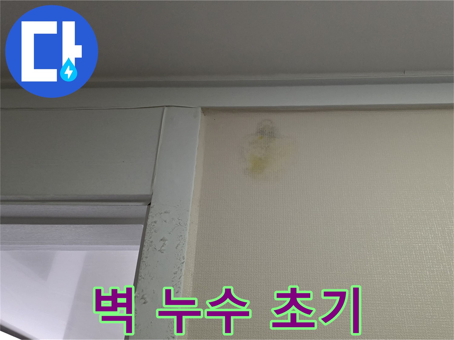 분당 운중동 산운마을 6단지 아파트 벽 누수 초기 - 신속한 초기 대응 및 진단