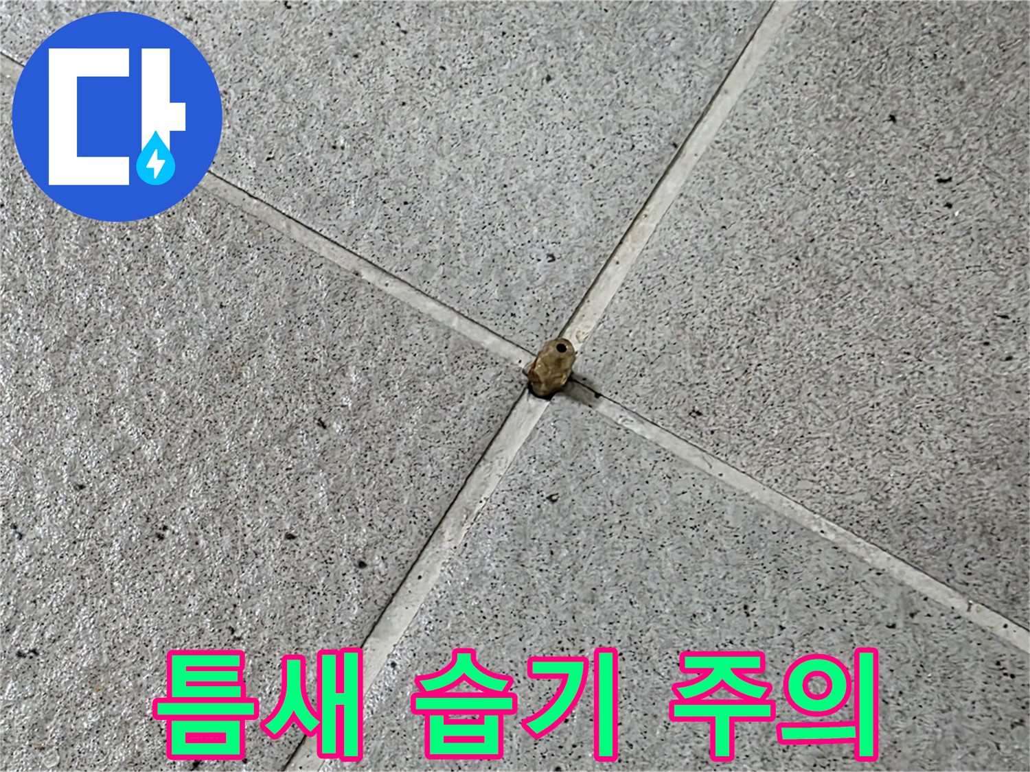 분당 운중동 산운마을 6단지 - 타일 틈새 습기, 누수의 위험 신호입니다.