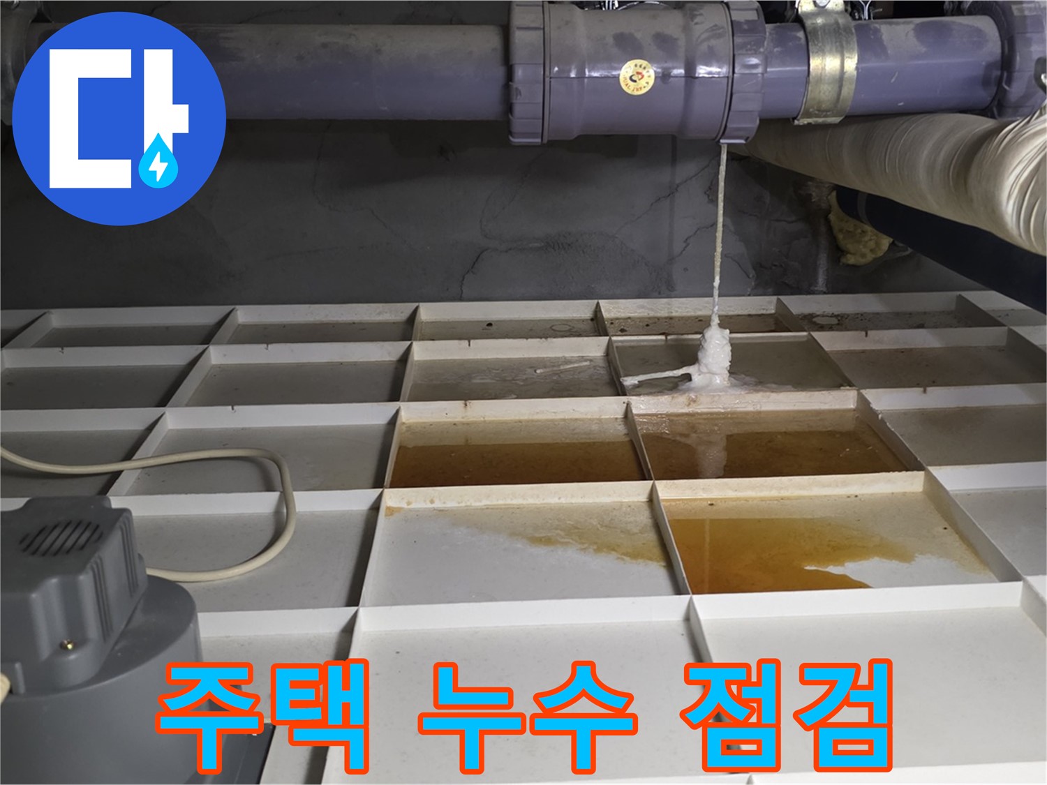 분당 운중동 산운마을 6단지에서 주택 누수를 점검하는 모습 - 꼼꼼한 점검으로 누수 원인을 정확하게 파악하고 해결합니다.