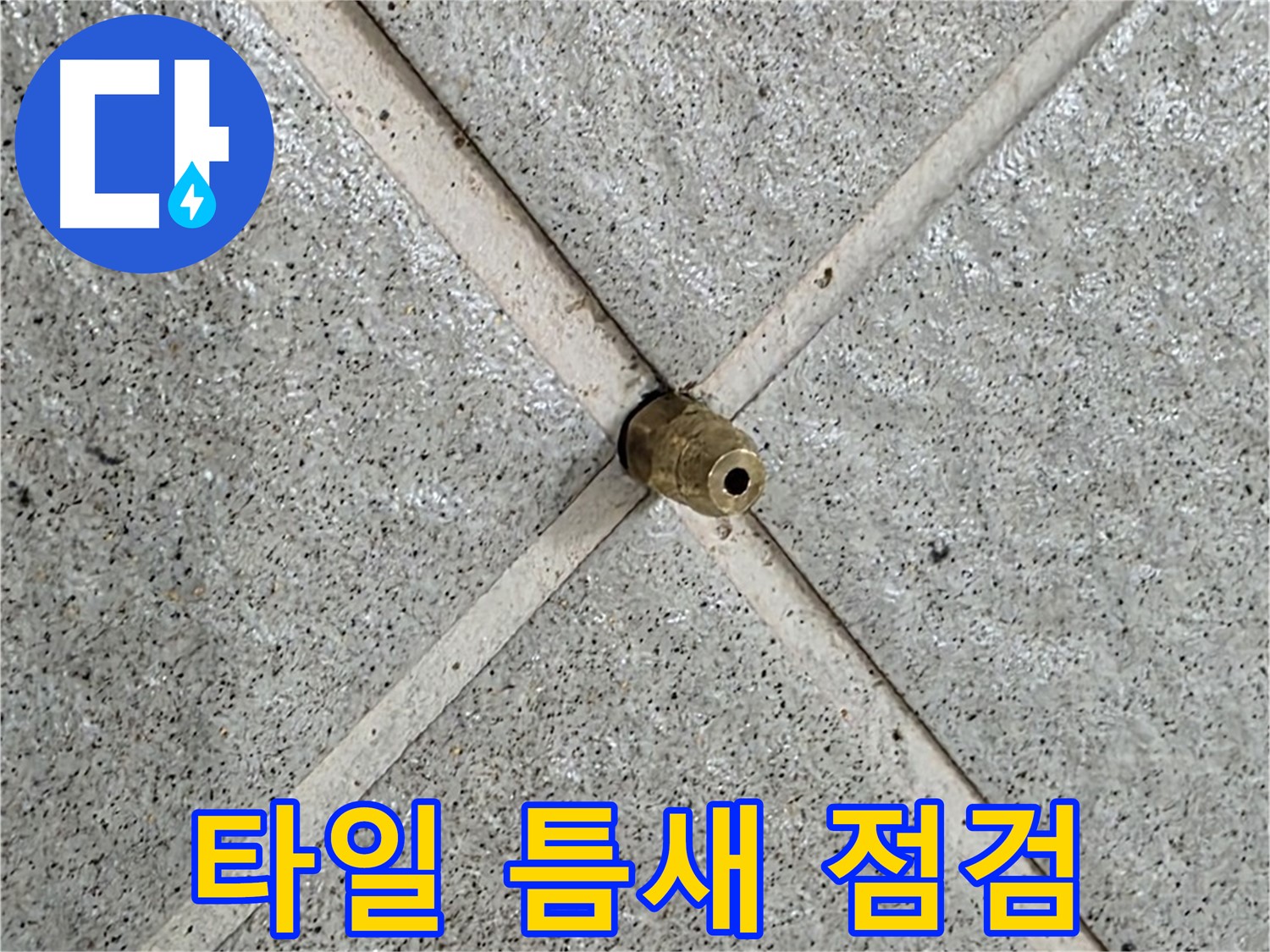 분당 운중동 산운마을 누수 - 타일 틈새를 꼼꼼히 점검하여 누수 원인을 찾습니다.