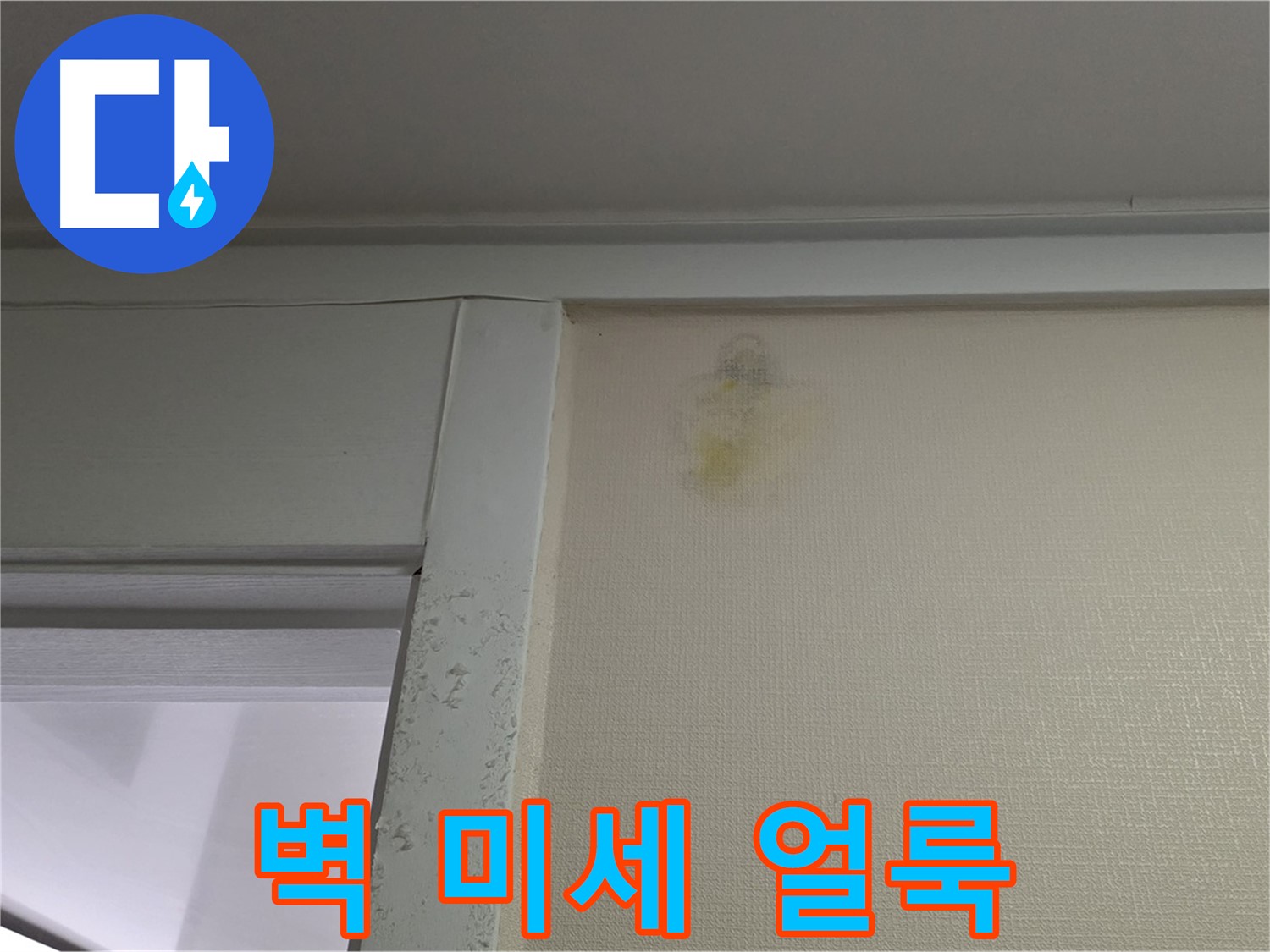 분당 운중동 산운마을 아파트 벽 미세 얼룩 - 누수 초기 진단 및 꼼꼼한 점검 진행