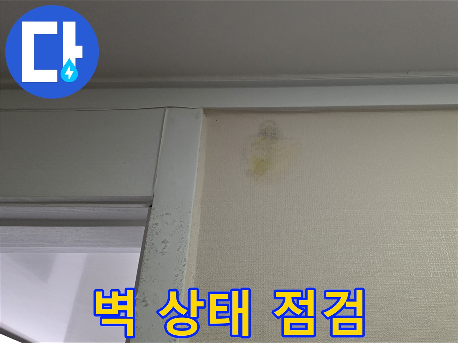 분당 운중동 산운마을 아파트 벽 상태 점검 - 초기 누수 진단