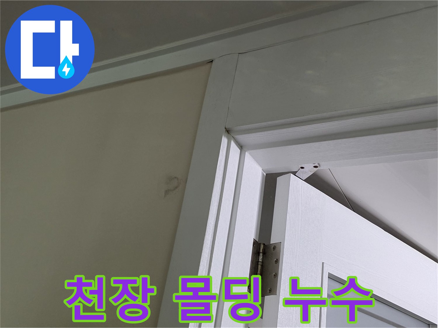 분당 운중동 산운마을 - 천장 몰딩에서 발견된 누수, 꼼꼼한 점검으로 원인을 파악합니다.