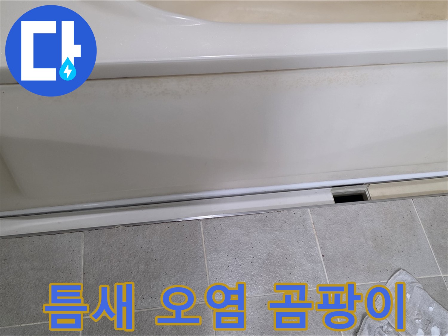 분당 운중동 산운마을에서 욕조 하부 점검구 틈새 오염 및 곰팡이 발생을 확인하는 모습입니다 - 곰팡이는 습기와 누수의 증거입니다.