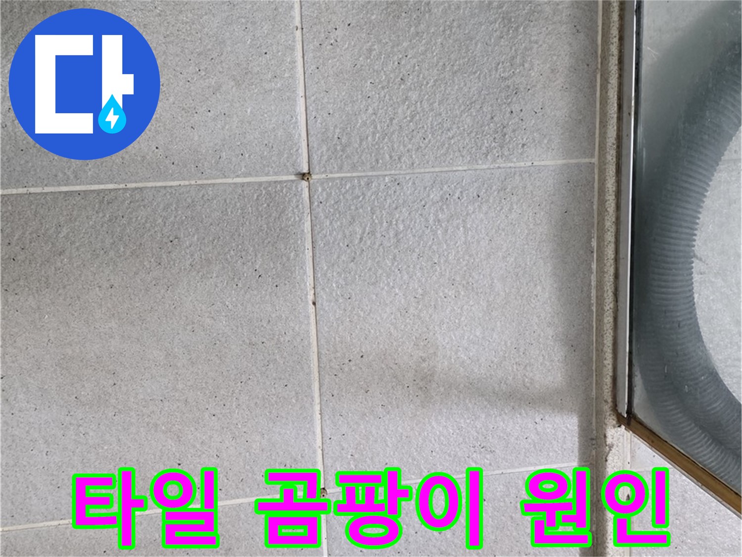 분당구 운중동 욕실 바닥 타일 틈새 곰팡이 - 곰팡이는 습한 환경에서 발생하며, 누수의 가능성을 시사합니다.
