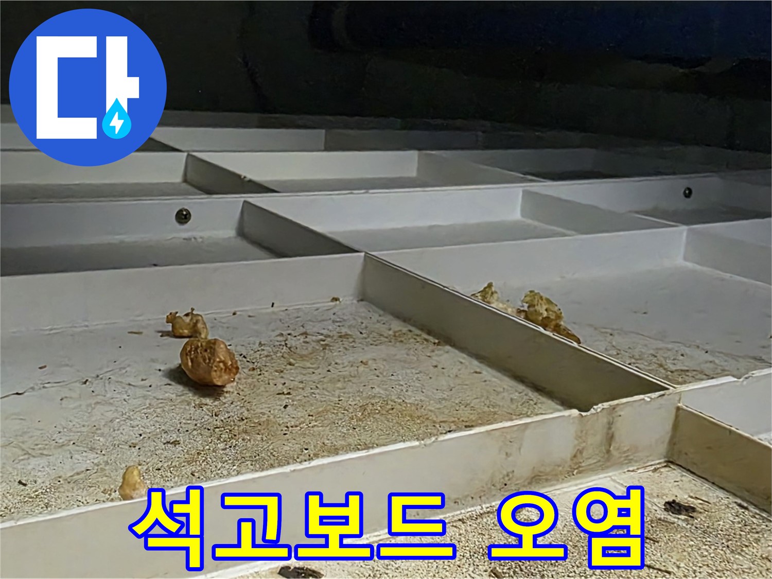 석고보드 오염 - 천장 누수로 인한 석고보드 오염 확인