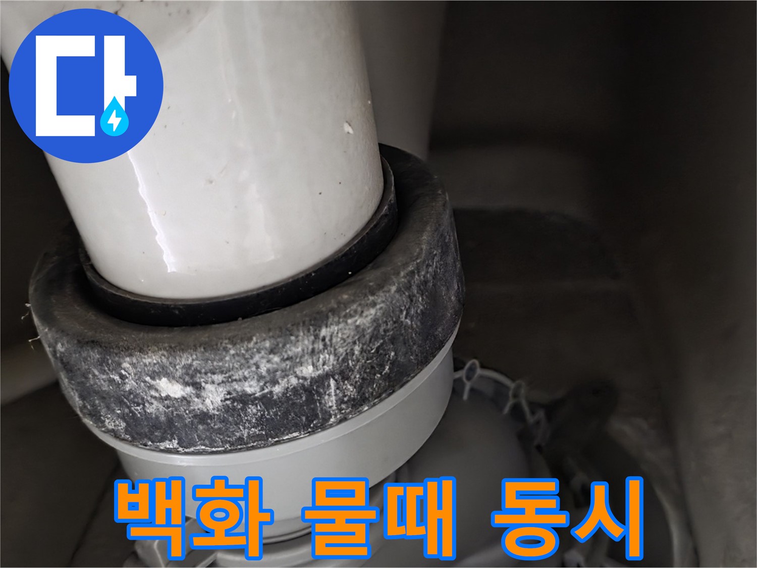 성남 분당 운중동 산운로 변기 누수 - 백화와 물때가 동시에 발생한 모습