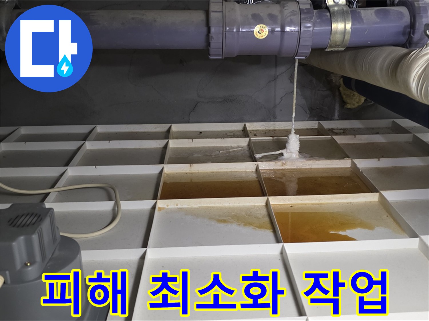 성남 분당 운중동 산운마을 6단지에서 누수 피해를 최소화하는 작업을 진행하는 모습 - 신속한 조치가 중요합니다.