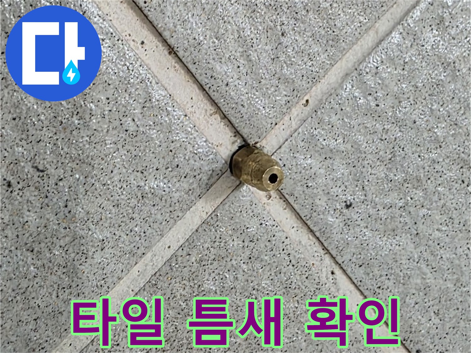 성남 분당 운중동 산운마을 누수 - 타일 틈새의 작은 균열도 놓치지 않습니다.