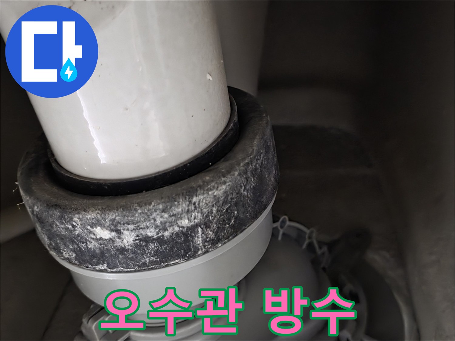 성남 분당 운중동 산운마을 변기 누수 - 오수관 주변 방수 작업 진행