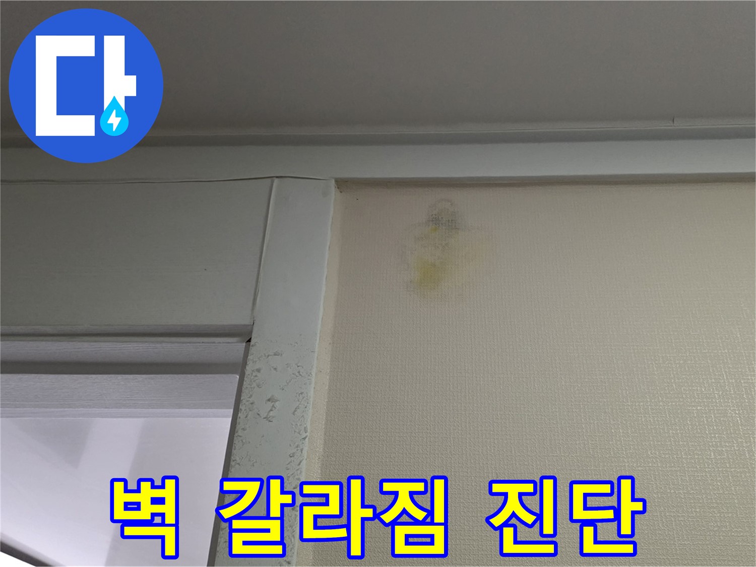 성남 분당 운중동 산운마을 아파트 - 벽 갈라짐 누수 초기 의심