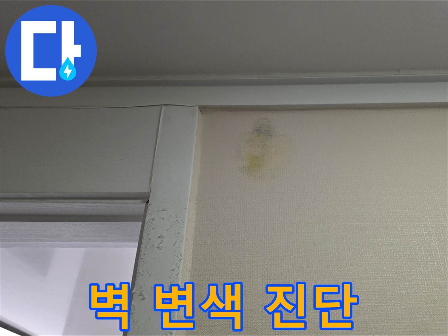성남 분당 운중동 산운마을 아파트 벽 변색 - 누수 가능성 초기 진단 및 원인 분석