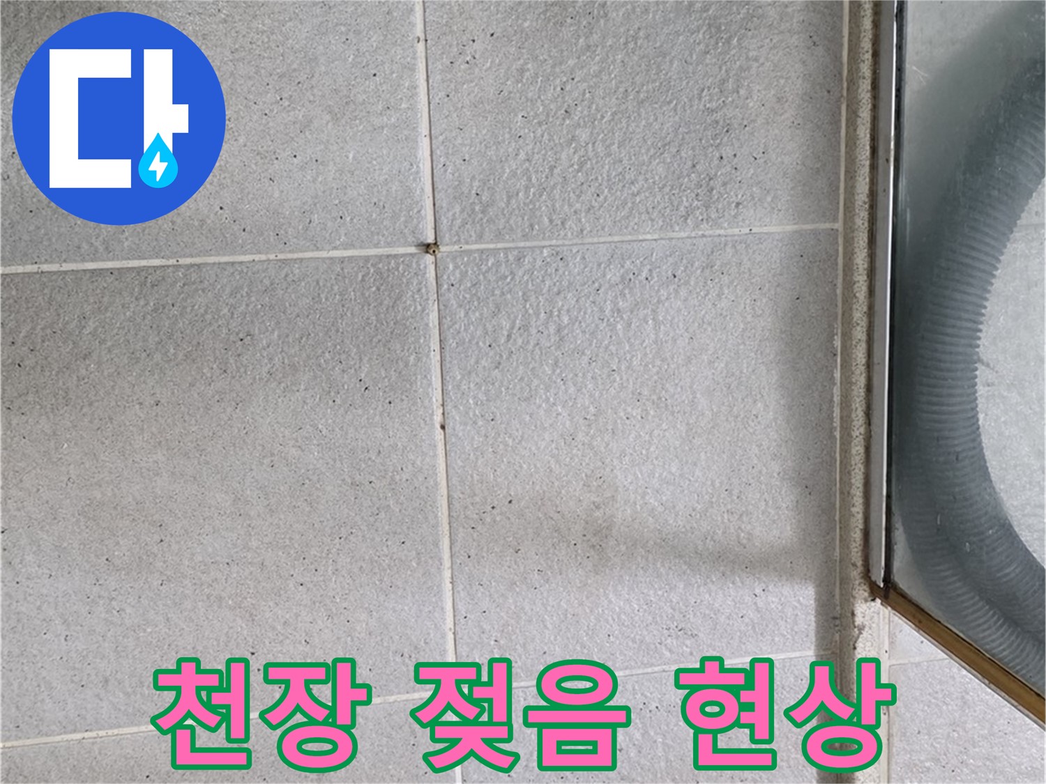 성남 분당 운중동 욕실 천장 석고보드 젖음 - 천장 석고보드가 젖어 있는 것으로 보아 윗집에서 누수가 있을 수 있습니다.