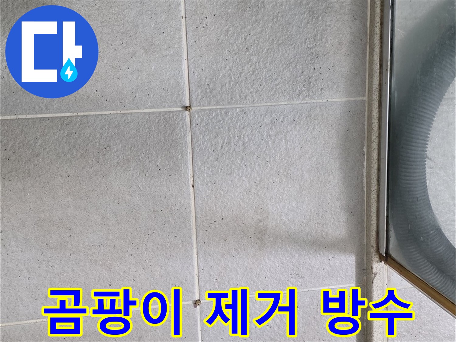 성남 분당 운중동 욕실 타일 틈새 - 곰팡이 제거 후 방수 작업으로 누수를 해결합니다.
