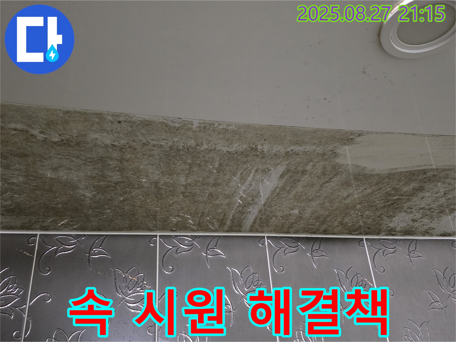성남시 분당구 운중동 산운마을 아파트 - 곰팡이 핀 천장 누수, 속 시원한 해결책을 위한 상담을 제공합니다.