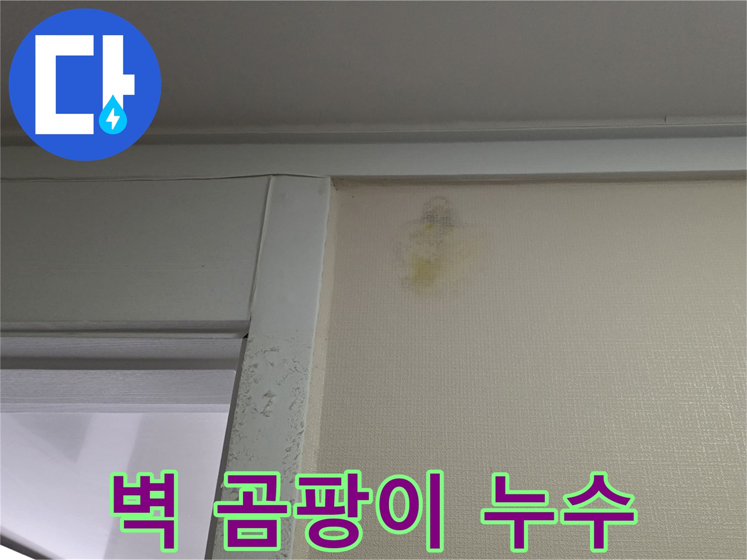 성남시 분당구 운중동 산운마을 아파트 벽 곰팡이 - 누수 원인 진단 및 곰팡이 제거