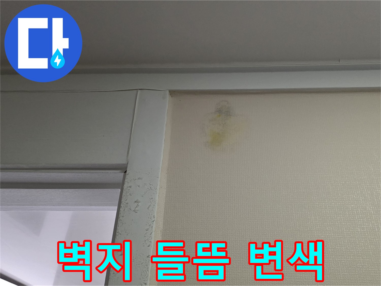 성남시 분당구 운중동 산운마을 아파트 - 벽지 들뜸 및 변색 초기 누수 의심