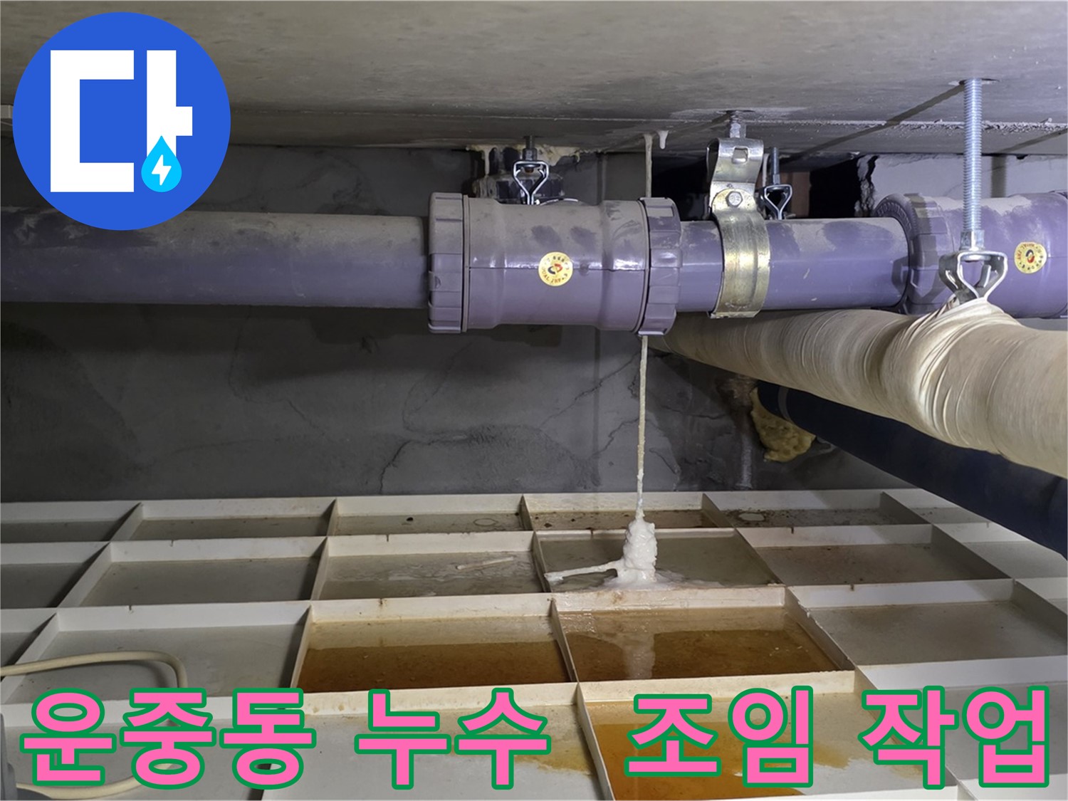 운중동 배관 누수 - 연결 부위 헐거움, 조임 작업으로 간단 해결