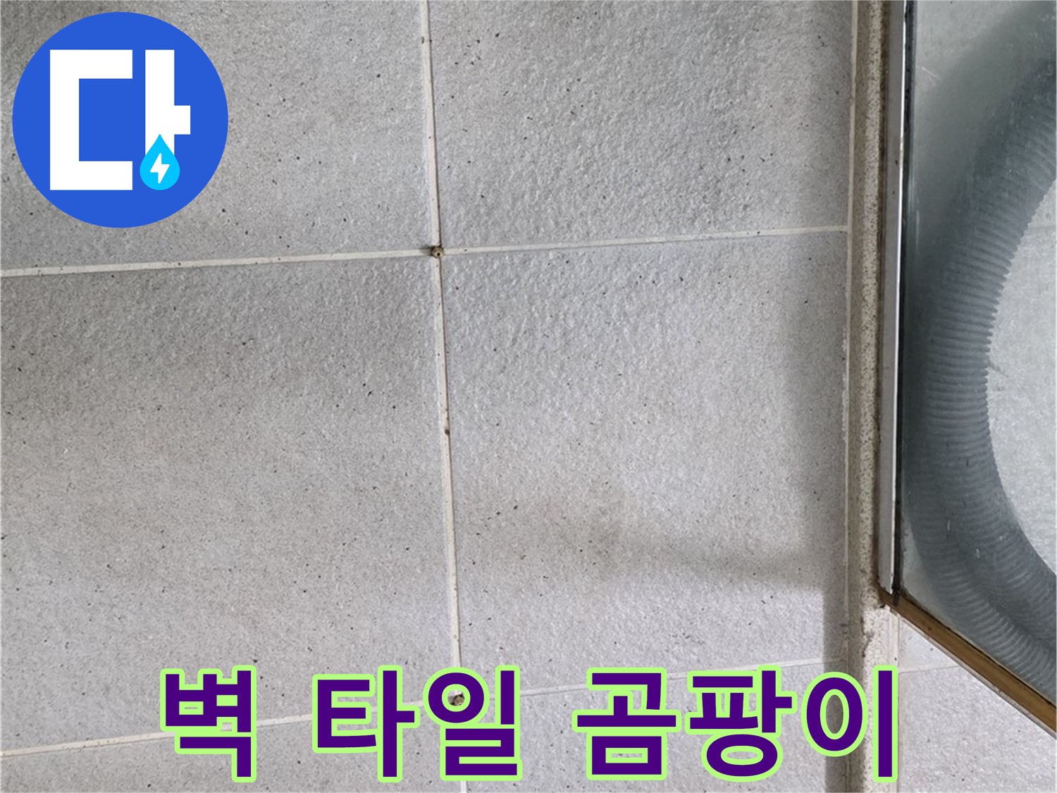 운중동 욕실 샤워기 벽면 - 타일 틈새 오염과 곰팡이는 습기 침투의 증거입니다.