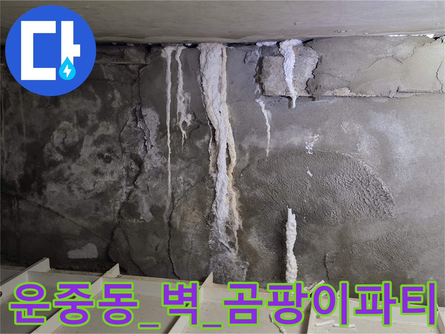 운중동 콘크리트 벽 - 하얀 이슬, 곰팡이 파티 초대장