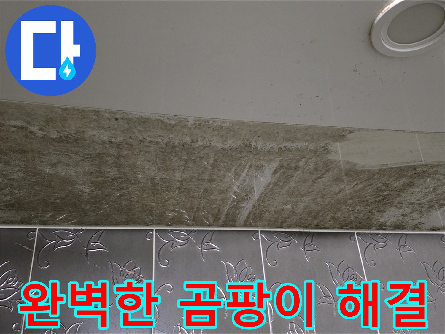 아파트 화장실 천장 누수 - 곰팡이와 냄새, 완벽 해결
