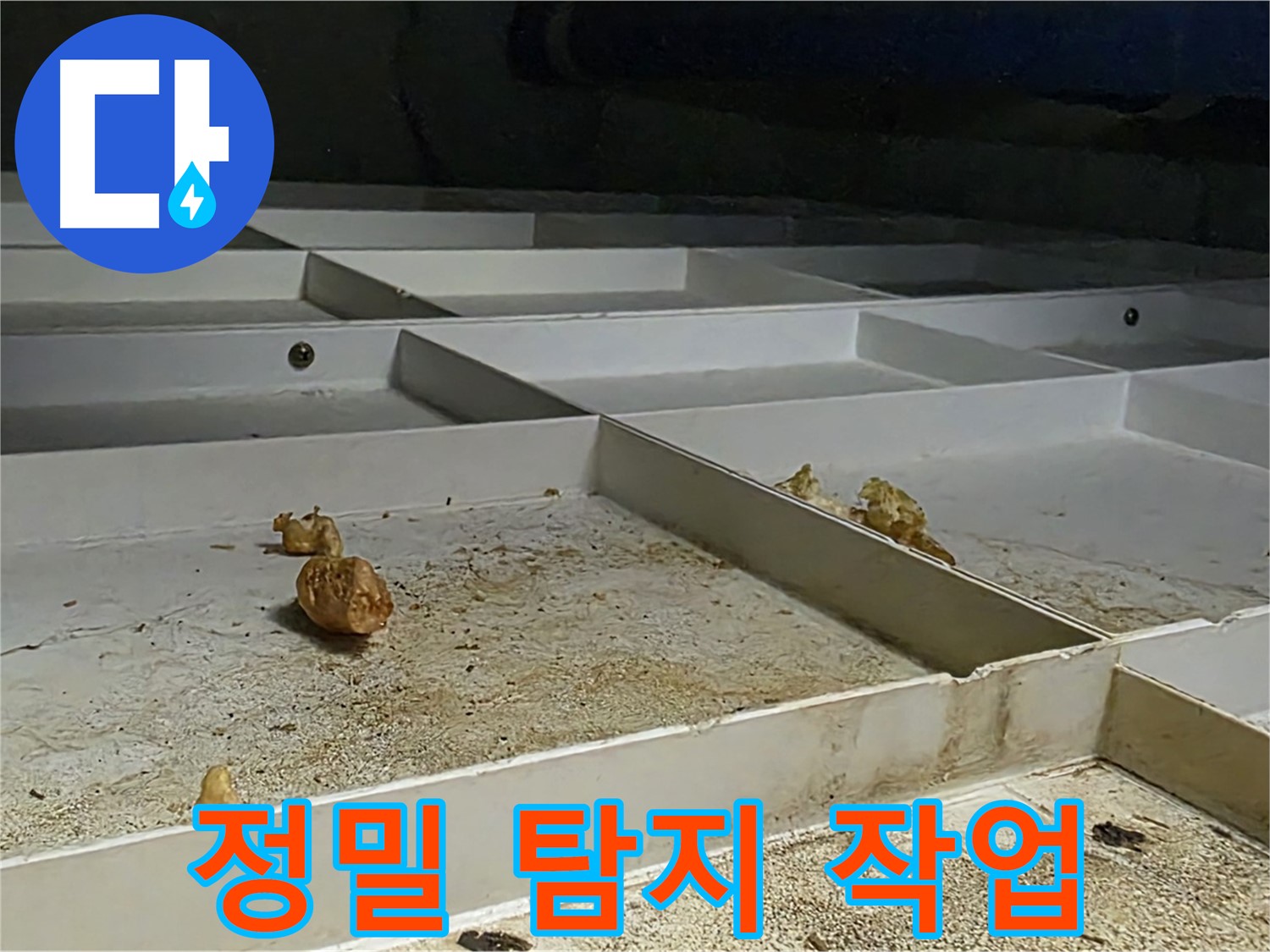 정밀 탐지 작업 - 정밀 누수 탐지 작업 중