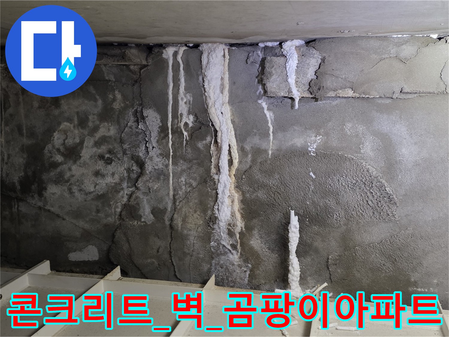 콘크리트 벽 - 석회수 지옥, 건물 곰팡이 아파트 될까 덜덜