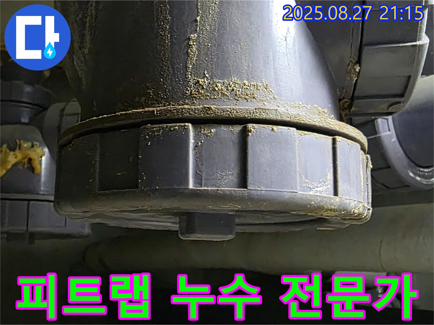 피트랩 누수 전문가 - 풍부한 경험과 노하우를 가진 전문가 - 믿고 맡기세요.