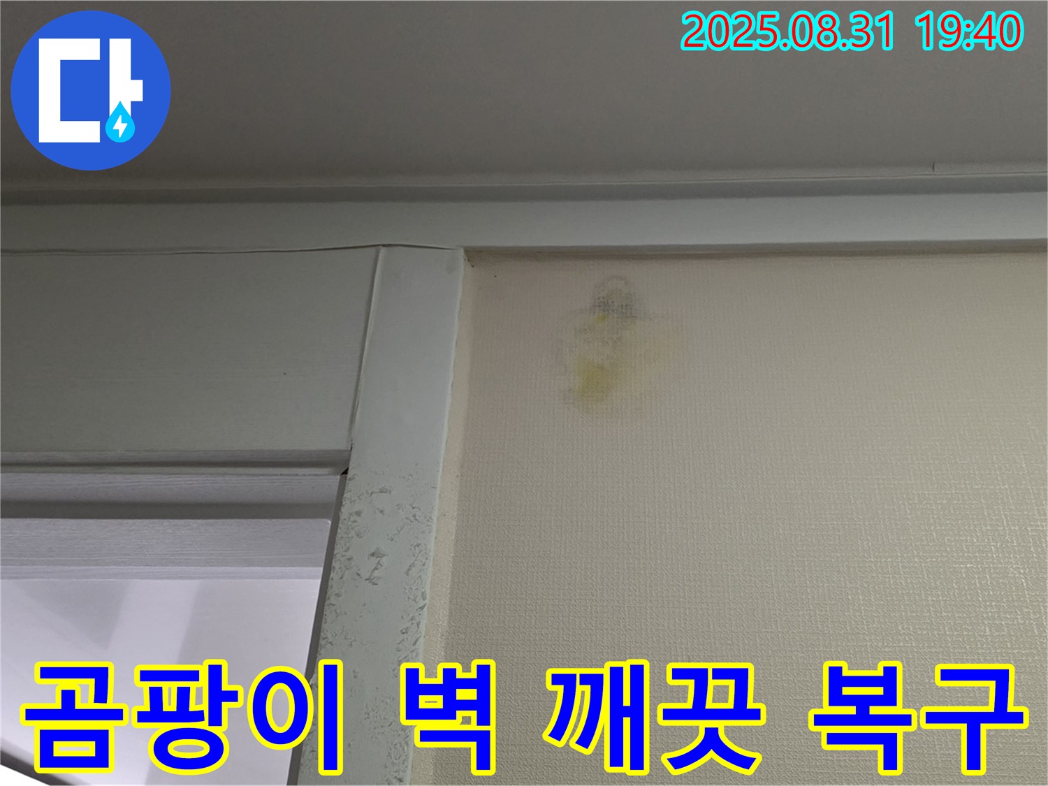 곰팡이 벽 깨끗 복구 - 백현동 누수 해결 - 분당구