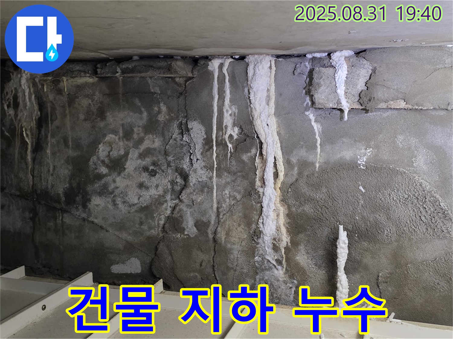 분당 건물 지하 누수 - 콘크리트 벽면의 심각한 누수 흔적을 보여줍니다.
