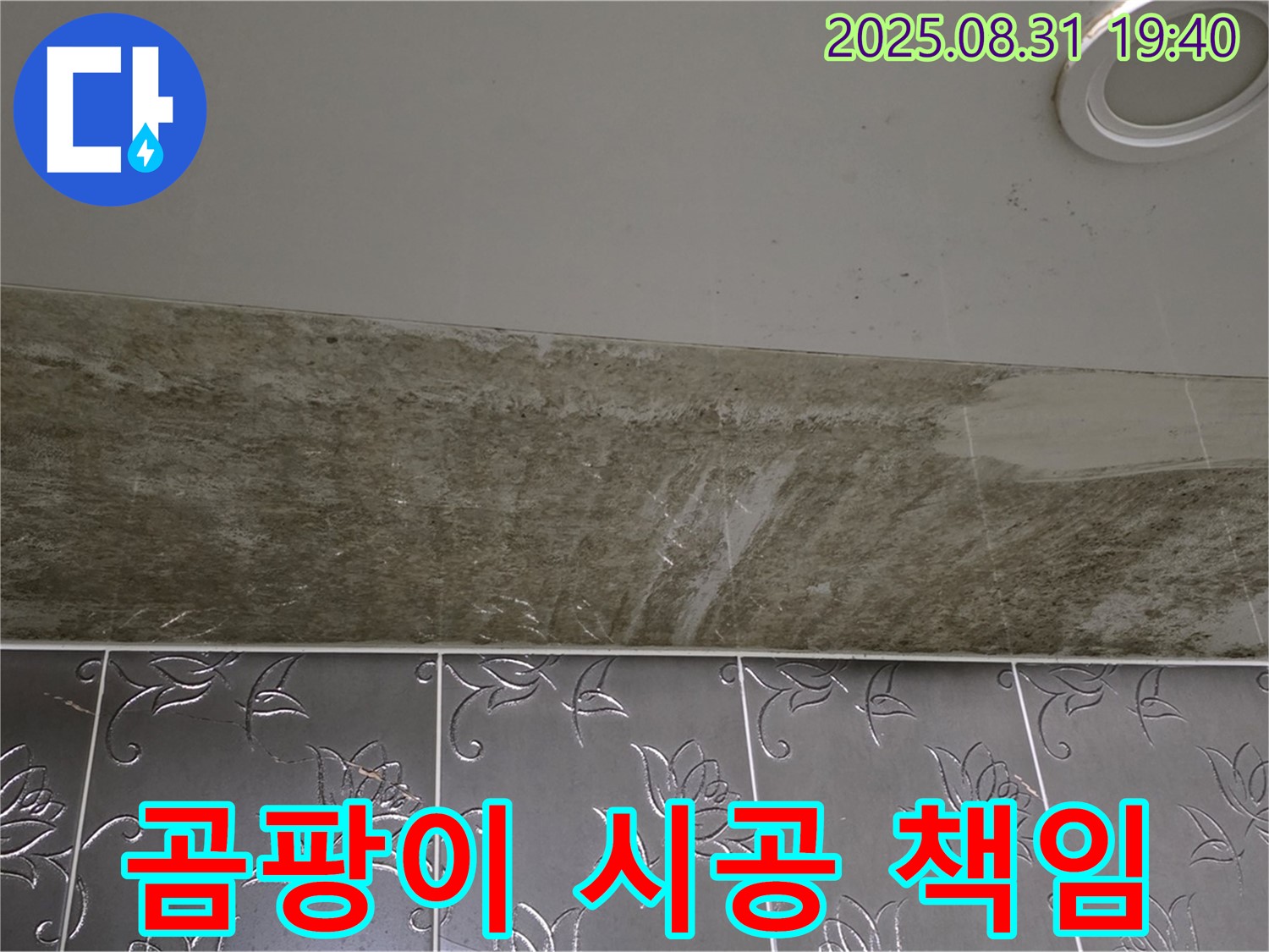 분당 구미동 곰팡이 심한 욕실 천장 누수 - 원인 해결부터 완벽한 시공까지 책임집니다.
