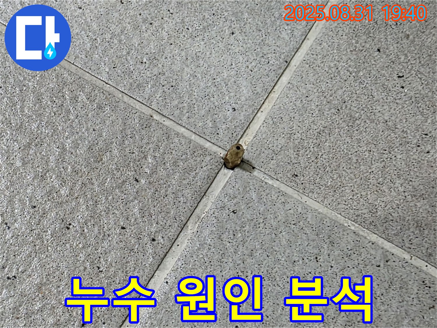 분당 산운마을 누수 현장 - 타일 틈새 누수의 정확한 원인을 파악하기 위해 꼼꼼하게 분석 중입니다.