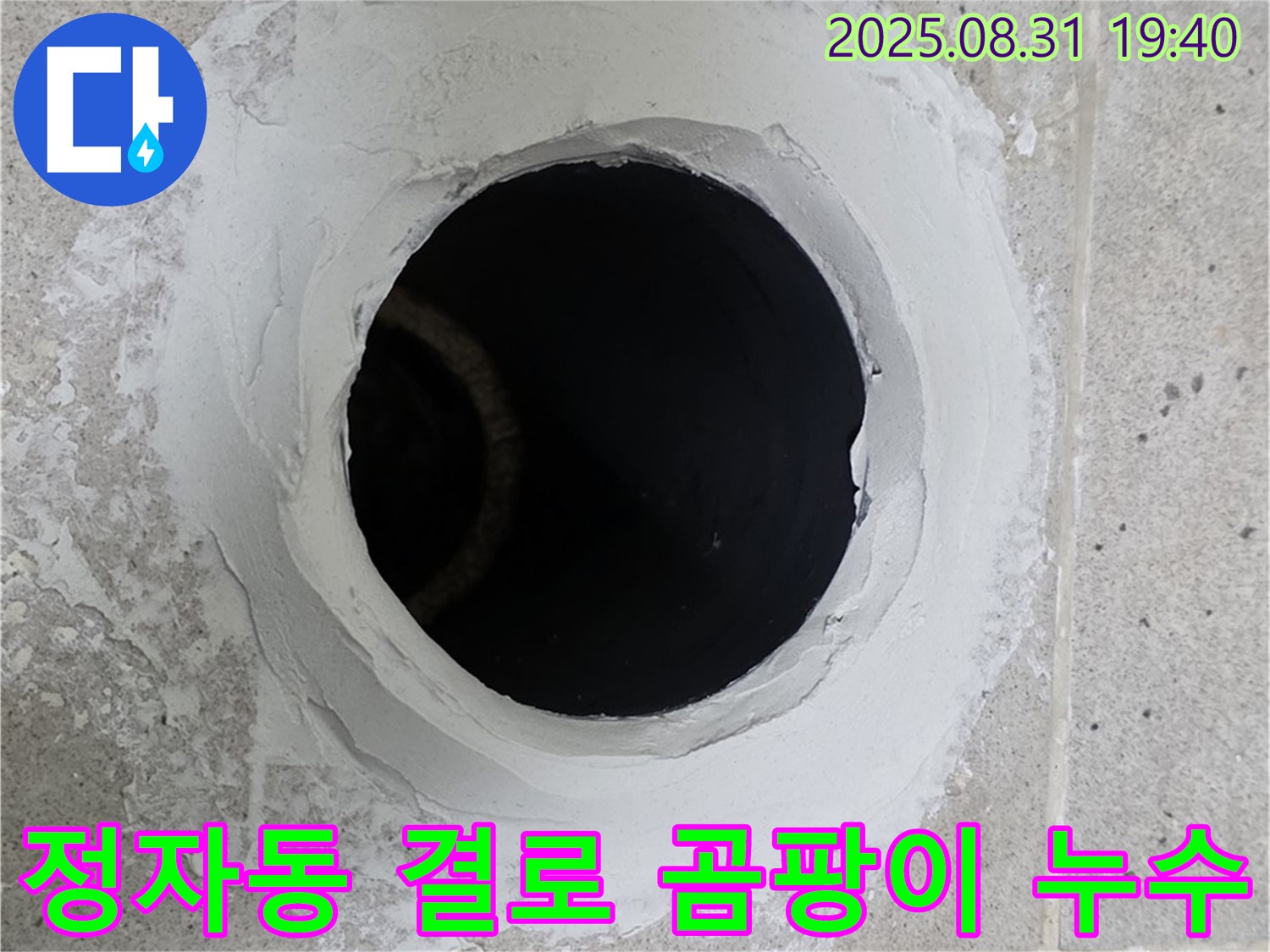 분당 정자동 결로 곰팡이 누수 해결 - 곰팡이 제거는 기본, 결로 원인까지 해결하는 완벽 시공!
