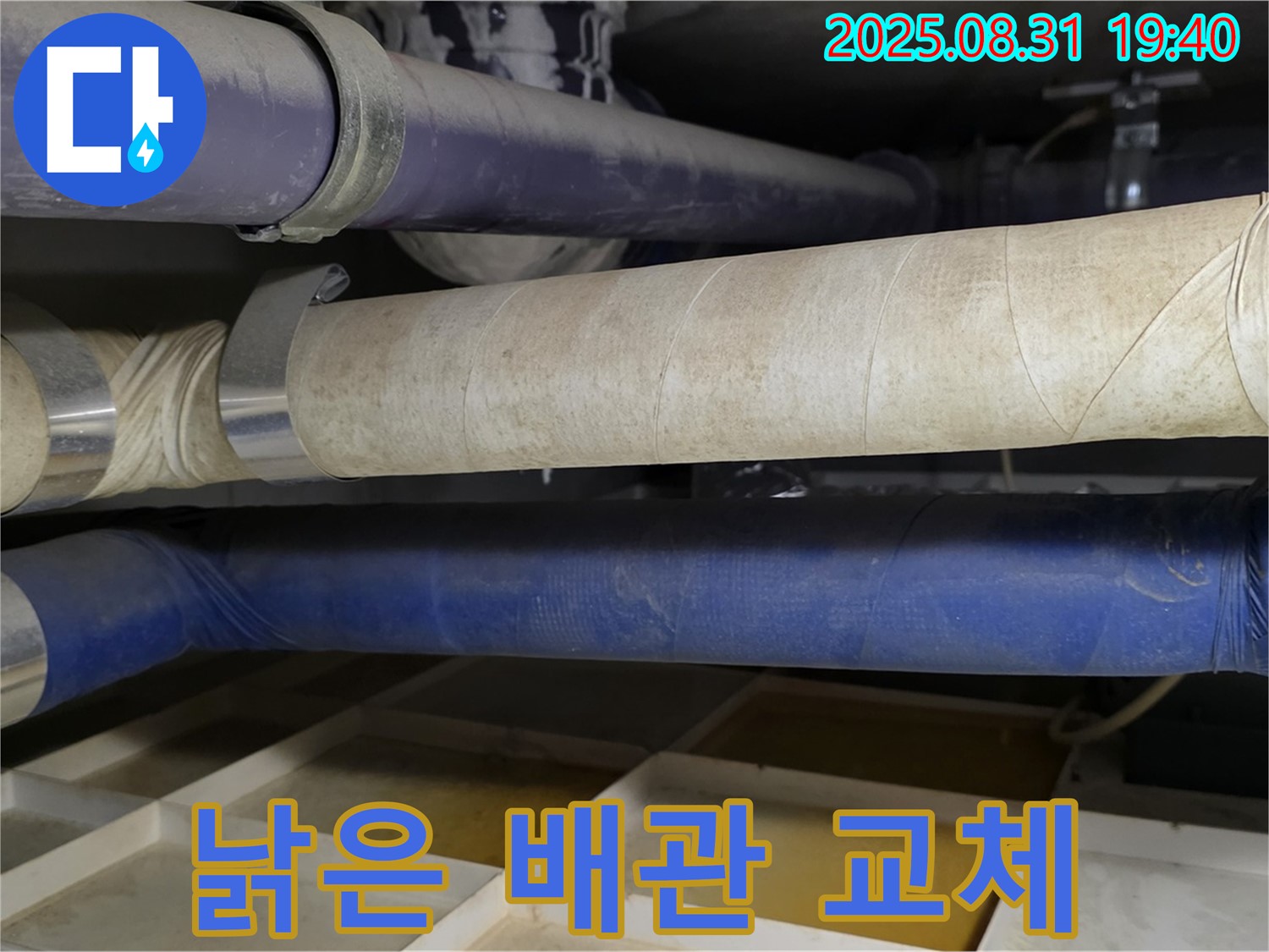 분당 정자동 아파트 누수 - 낡은 배관 교체로 누수 문제 완벽하게 해결했습니다.