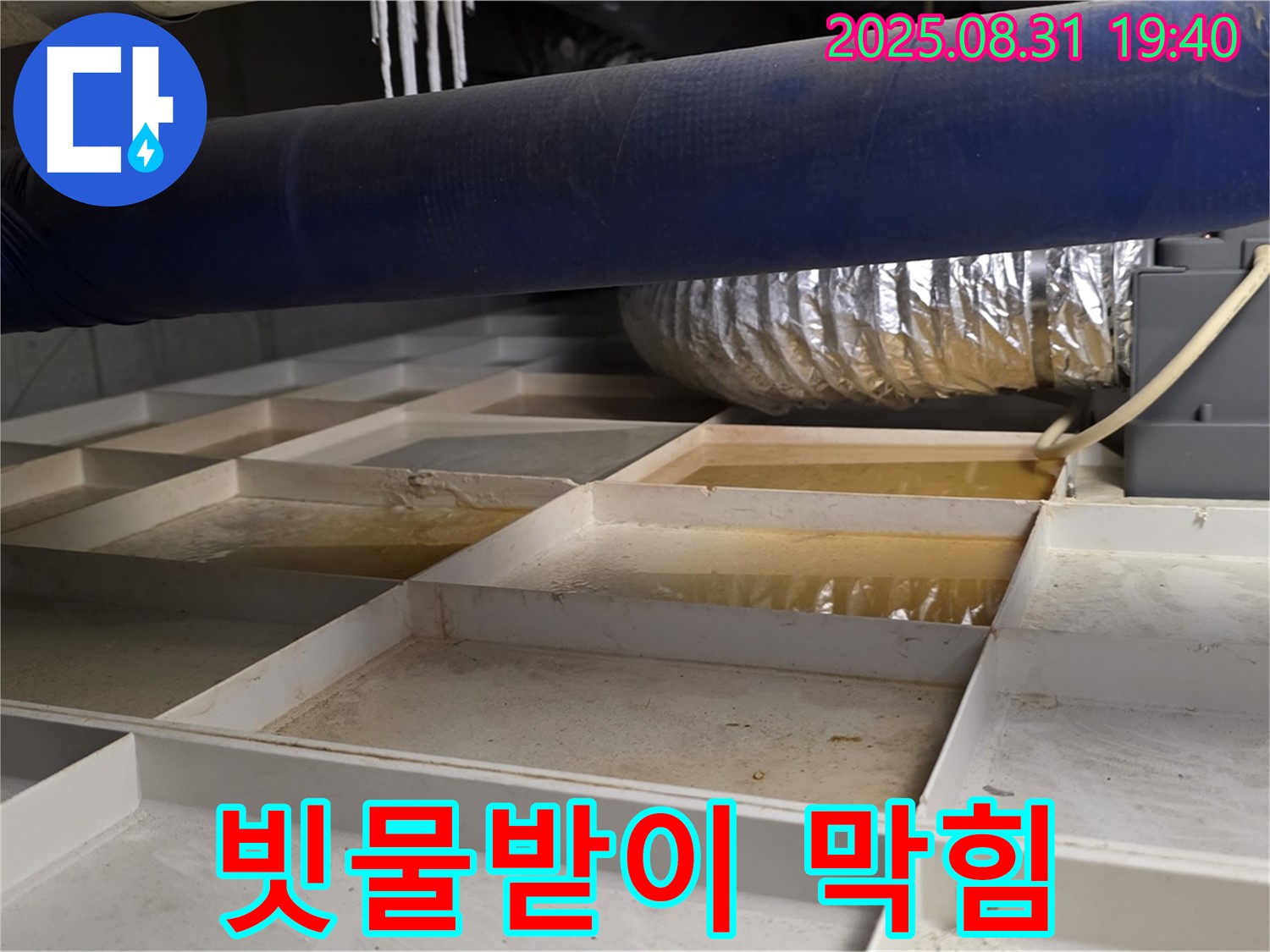 분당 판교동 건물 외벽 누수 - 빗물받이 막힘으로 인한 누수 발생