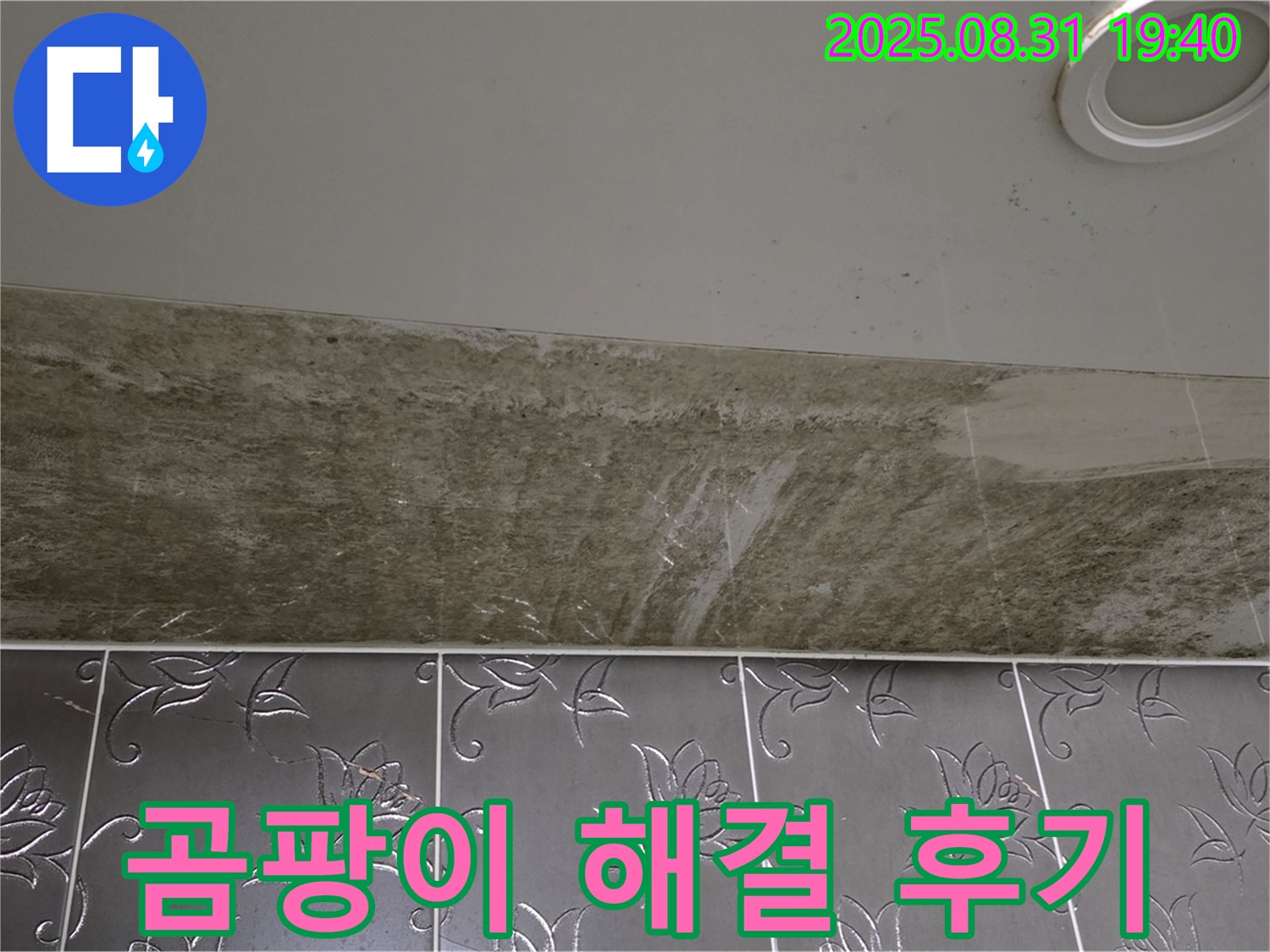분당구 금곡동 곰팡이 밭이 된 욕실 천장 누수 - 완벽하게 해결된 생생한 리얼 후기!