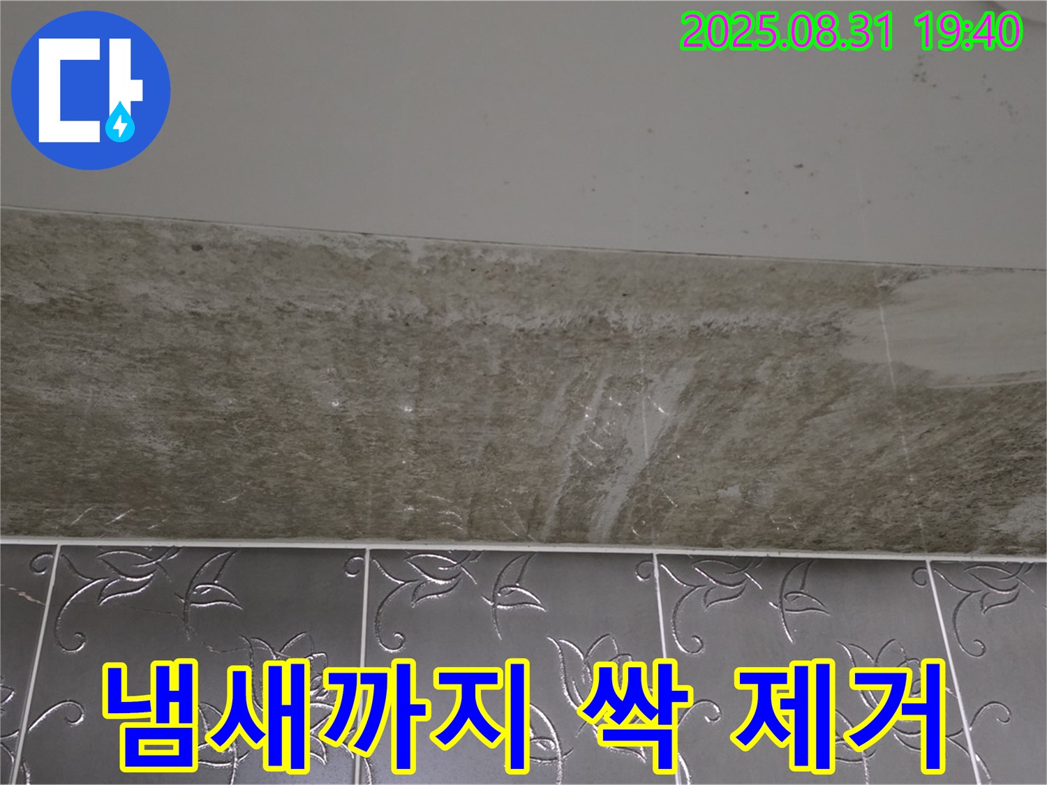 분당구 산운동 욕실 곰팡이 - 곰팡이 제거 숨 막히는 냄새까지 해결