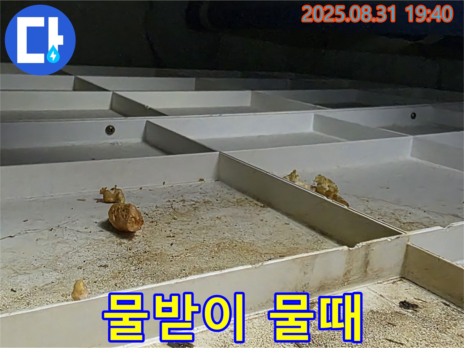 분당구 정자동 누수 - 천장 물받이, 물때 가득, 배수 불량 의심