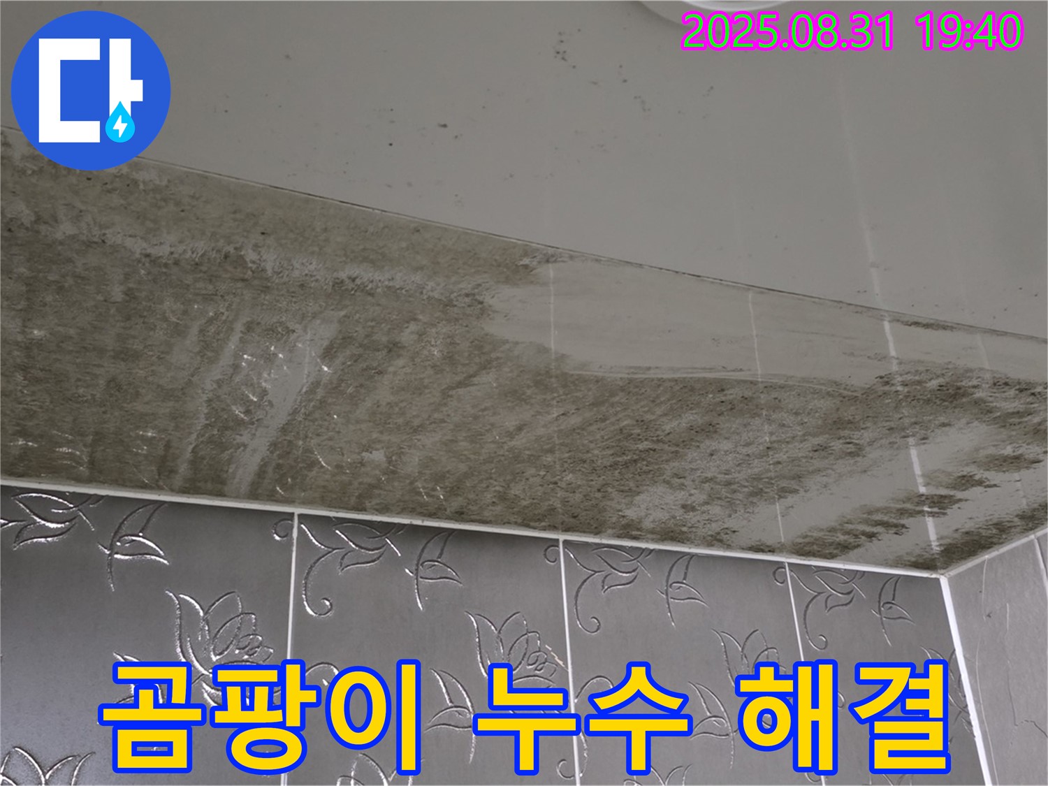 산운동 욕실 천장 곰팡이 - 누수 해결 후 깨끗해진 모습